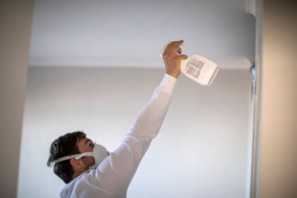 Best Localized Mold Remediation (e.g., coastal areas, humid climates) in Oakdale, NY